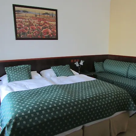格蘭酒店 4* Cesky Krumlov