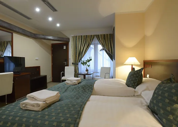 فندق غراند Český Krumlov